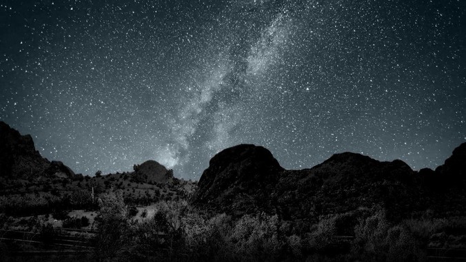 如何评价动物法治论坛将“玉林狗肉节”定性为非法活动？